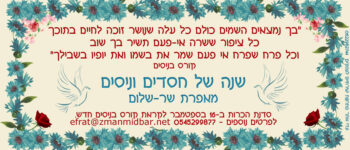 חג שמח ושנה טובה!